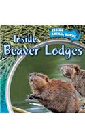 Inside Beaver Lodges