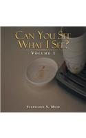 Can You See What I See?: Volume 1