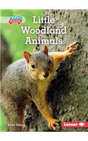 Little Woodland Animals: (Let's Look at Animal Habitats (Pull Ahead Readers — Nonfiction))