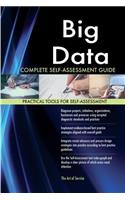 Big Data Complete Self-Assessment Guide