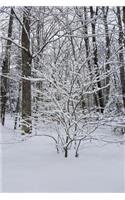 Snowstorm Effect Winter Weather Journal: (Notebook, Diary, Blank Book)