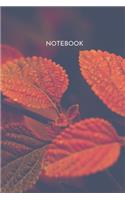 Notebook: Red and Brown Leaves Blank Lined Blush Notes Journal 6x9 Inches 100 Pages