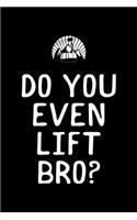 Do You Even Lift Bro?