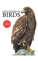 Encyclopedia of Birds