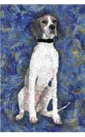 English Pointer