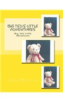 Big Ted's Little Adventures