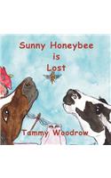 Sunny Honeybee is Lost