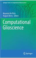 Computational Glioscience