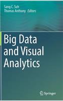 Big Data and Visual Analytics