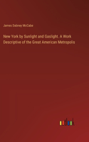 New York by Sunlight and Gaslight. A Work Descriptive of the Great American Metropolis