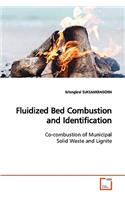 Fluidized Bed Combustion and Identification