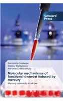 Molecular Mechanisms of Functional Disorder Induced by Mercury