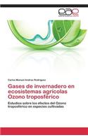 Gases de invernadero en ecosistemas agrícolas Ozono troposférico