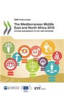 SME Policy Index The Mediterranean Middle East and North Africa 2018