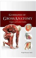 Guidelines of Gross Anatomy