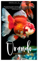 Oranda Goldfish