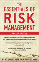 EBK Essentials Of Risk Management 2E