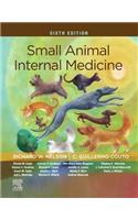 Small Animal Internal Medicine - E-Book
