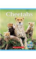Cheetahs (Nature's Children)
