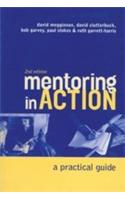 Mentoring In Action (A Practical Guide)