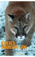 Stalked by a Mountain Lion