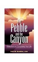 Pebble and the Canyon: Reflections on Composing Your Life