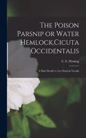 Poison Parsnip or Water Hemlock, Cicuta Occidentalis