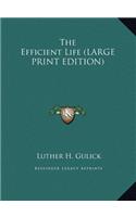 The Efficient Life