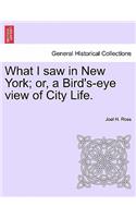 What I Saw in New York; Or, a Bird's-Eye View of City Life.