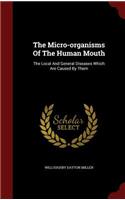 Micro-organisms Of The Human Mouth