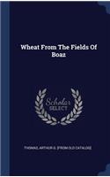 Wheat From The Fields Of Boaz