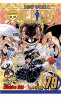 One Piece, Vol. 79