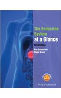The Endocrine System at a Glance