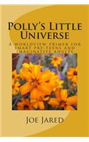 Polly's Little Universe: A worldview primer for smart pre-teens and imaginative adults(English)