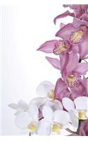 MindBlowing Orchid Journal 5