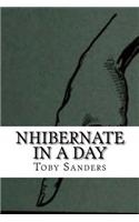 NHibernate In a Day