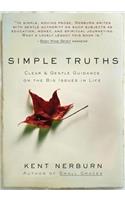 Simple Truths: Clear and Simple Guidance on the Big Issues in Life