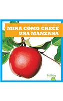 Mira Como Crece Una Manzana (Watch an Apple Grow)