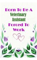 Born To Be A Veterinary Assistant Forced To Work