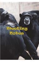 Meeting Notes