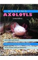 Keeping Axolotls