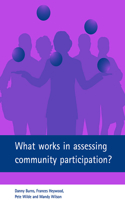 What Works in Assessing Community Participation?