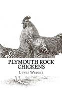 Plymouth Rock Chickens