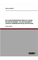 Der mehrfachbehinderte Mensch und das Persönliche Budget. Zwischen Selbstbestimmung und Fürsorge: (German)