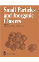 Small Particles and Inorganic Clusters