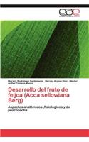 Desarrollo del Fruto de Feijoa (Acca Sellowiana Berg)