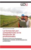 formación por competencias en la formación de profesionales