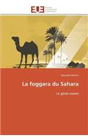 foggara du sahara