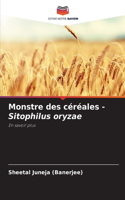 Monstre des céréales - Sitophilus oryzae