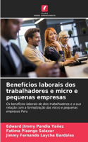 Benefícios laborais dos trabalhadores e micro e pequenas empresas